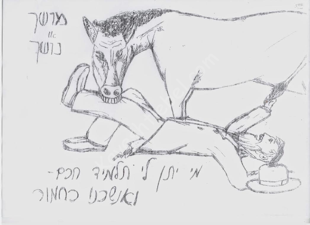סוס נושך ת''ח.jpg