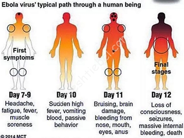 B06whypCEAAY-L4.png large.png