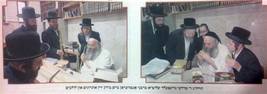 אתרוגים דיין.jpg